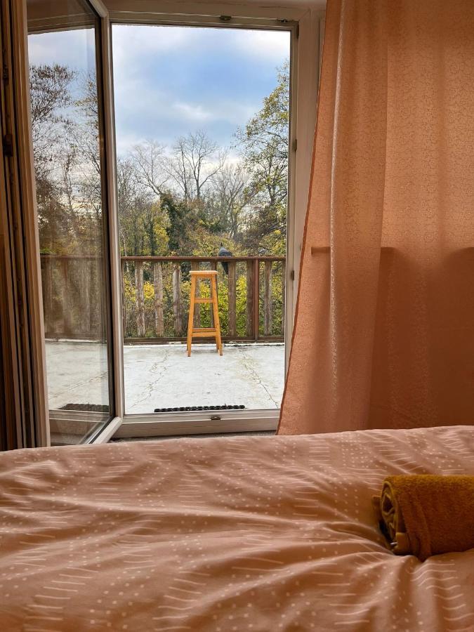 Breathtaking Shared Villa Near Danube River /W Garden And Parking Wina Bagian luar foto