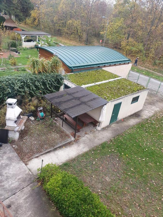 Breathtaking Shared Villa Near Danube River /W Garden And Parking Wina Bagian luar foto