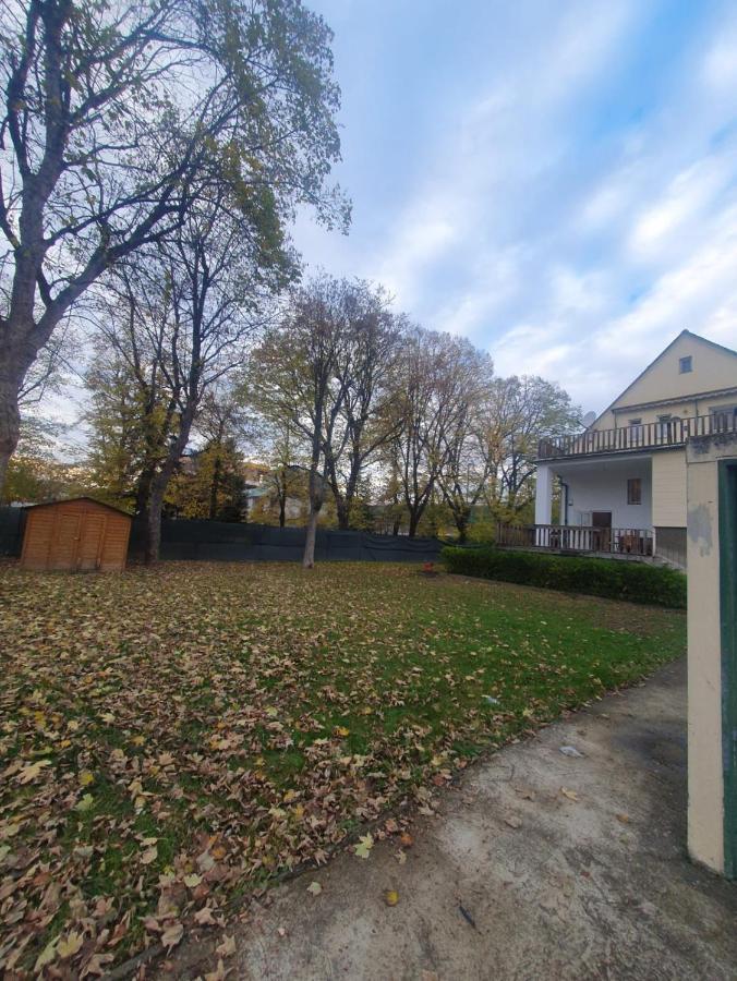 Breathtaking Shared Villa Near Danube River /W Garden And Parking Wina Bagian luar foto